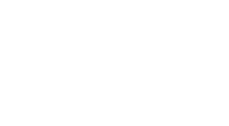 Brand D
